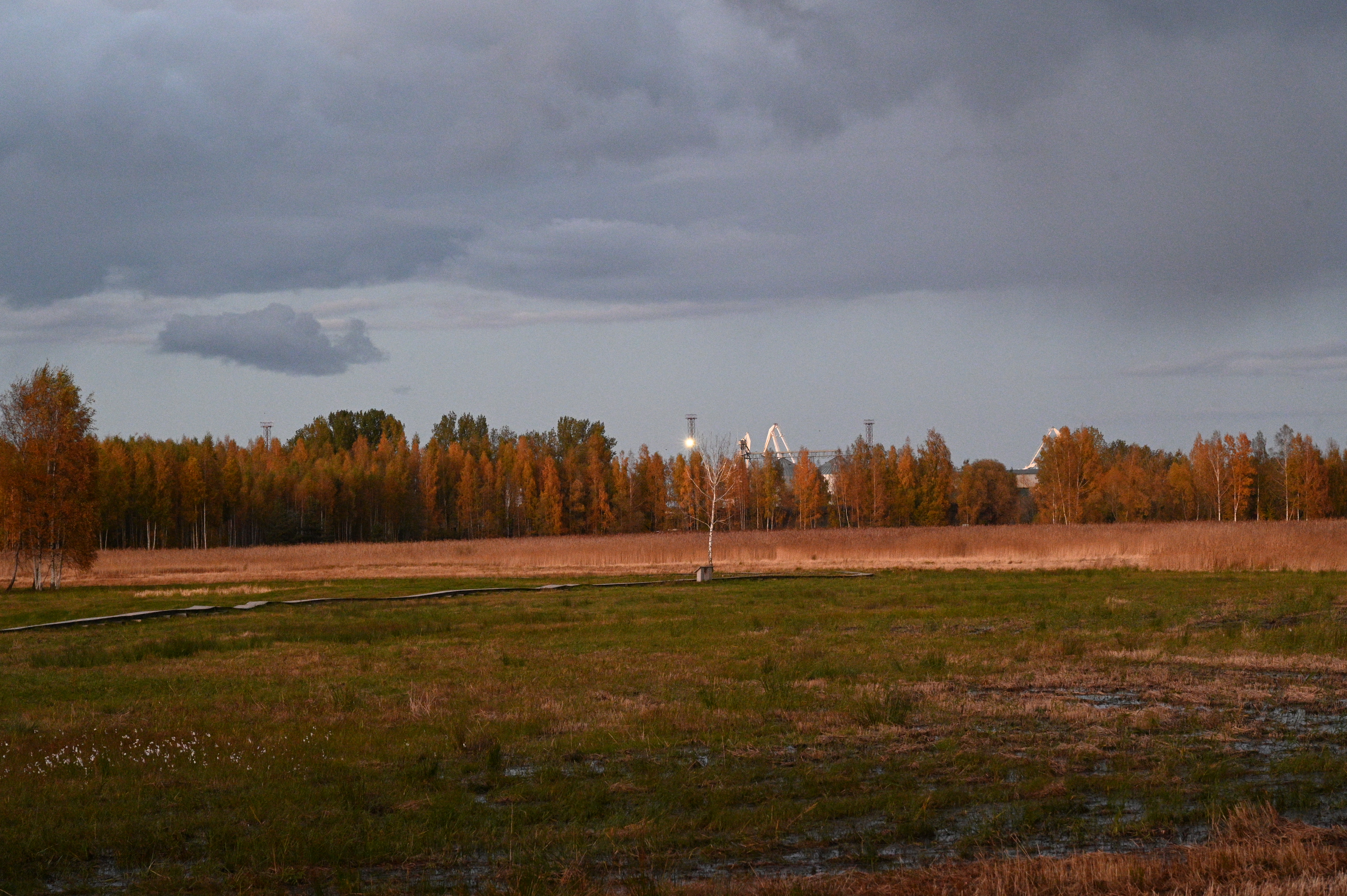 2025/10/18 - walk/DSC_0604.JPG